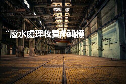 “廢水處理收費(fèi)標(biāo)準(zhǔn)合理通明，助力綠色環(huán)保事業(yè)蓬勃進(jìn)展”